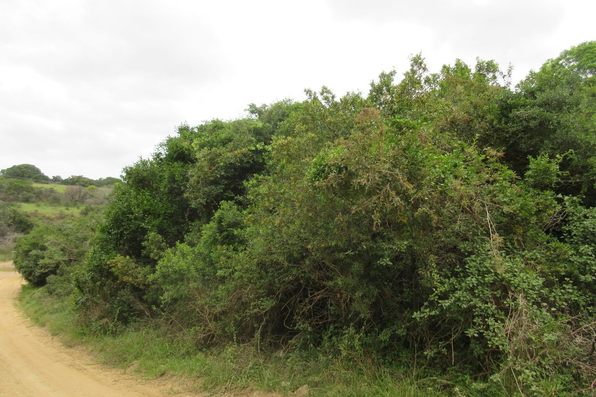 Vacant Stand For sale in Bathurst - Photo 3