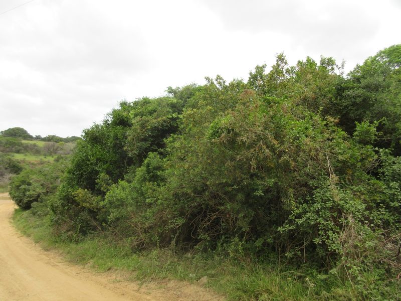 Vacant Stand For sale in Bathurst - Photo 3