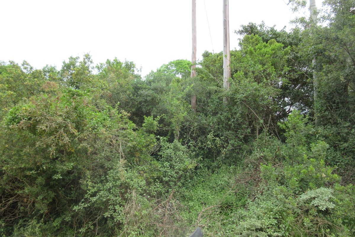 Vacant Stand For sale in Bathurst - Photo 5