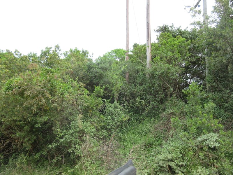 Vacant Stand For sale in Bathurst - Photo 5