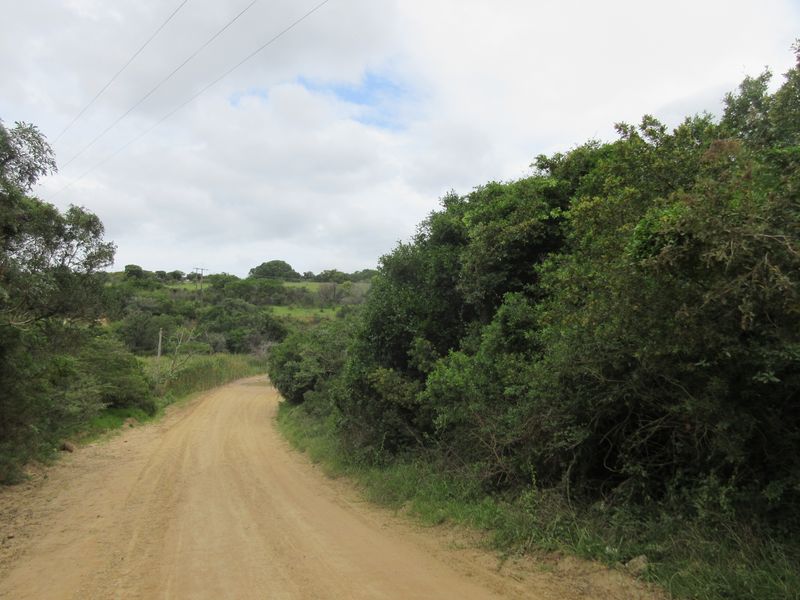 Vacant Stand For sale in Bathurst - Photo 10