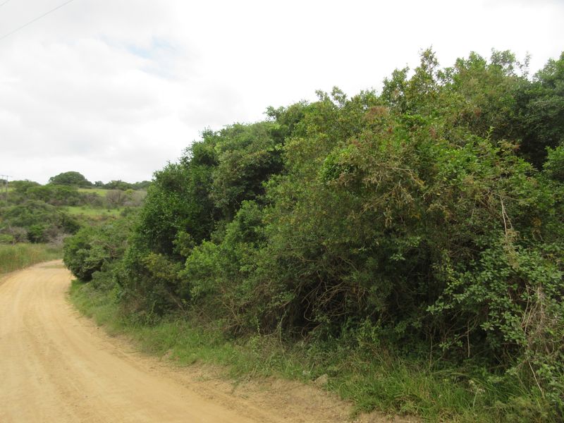 Vacant Stand For sale in Bathurst - Photo 9