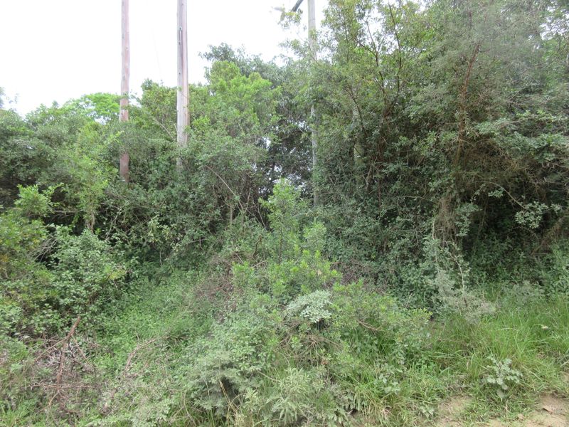 Vacant Stand For sale in Bathurst - Photo 7