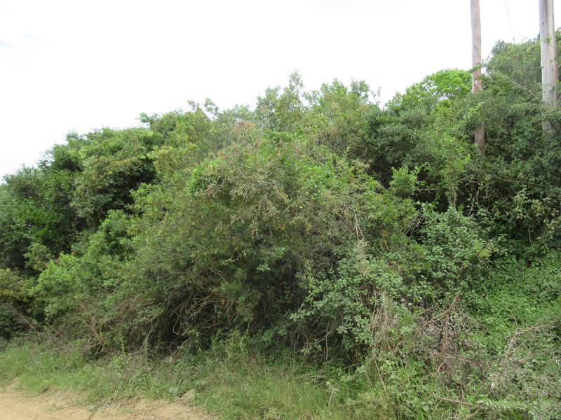 Vacant Stand For sale in Bathurst - Photo 8