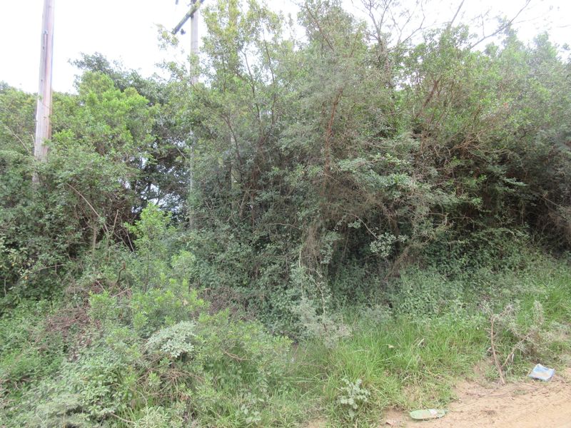 Vacant Stand For sale in Bathurst - Photo 6