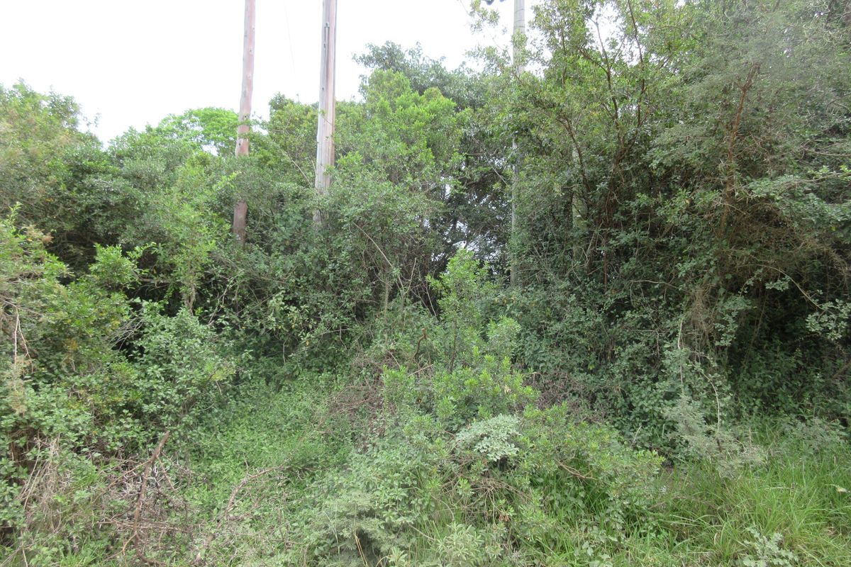 Vacant Stand For sale in Bathurst - Photo 4