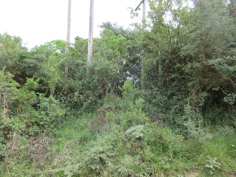 Vacant Stand For sale in Bathurst - Photo 4