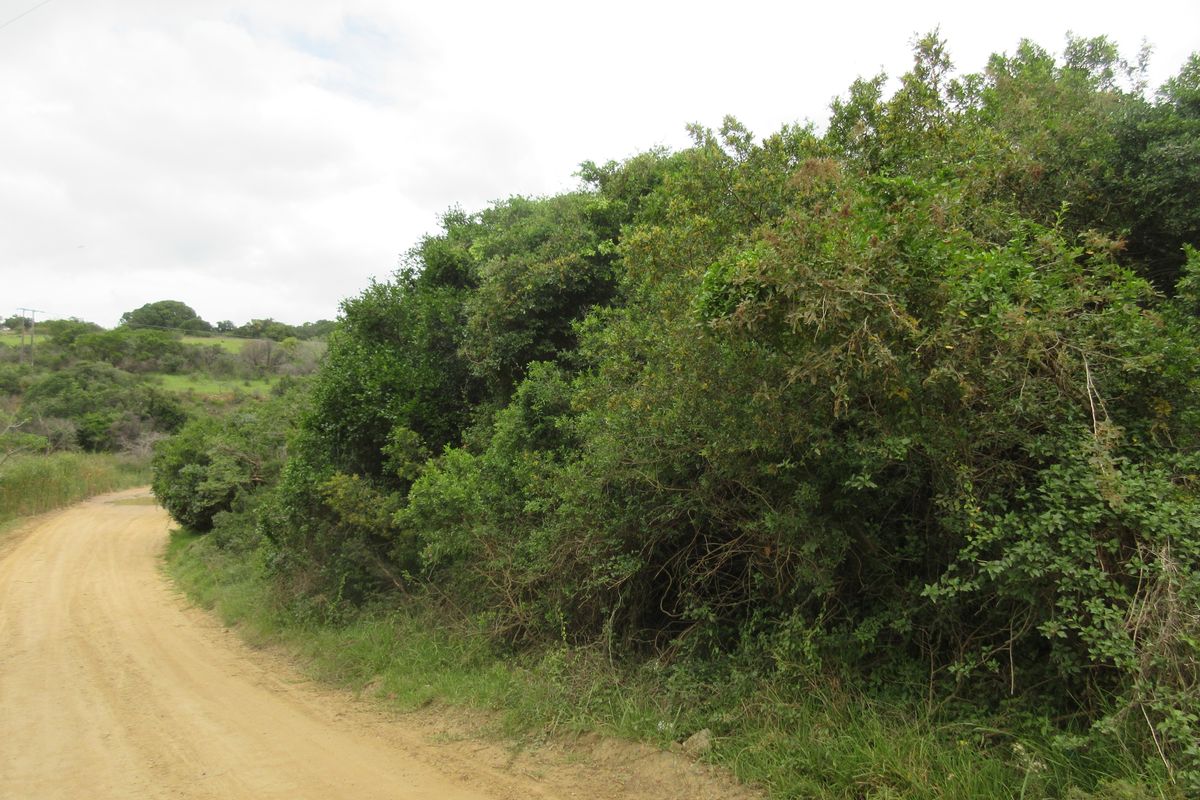 Vacant Stand For sale in Bathurst - Photo 2