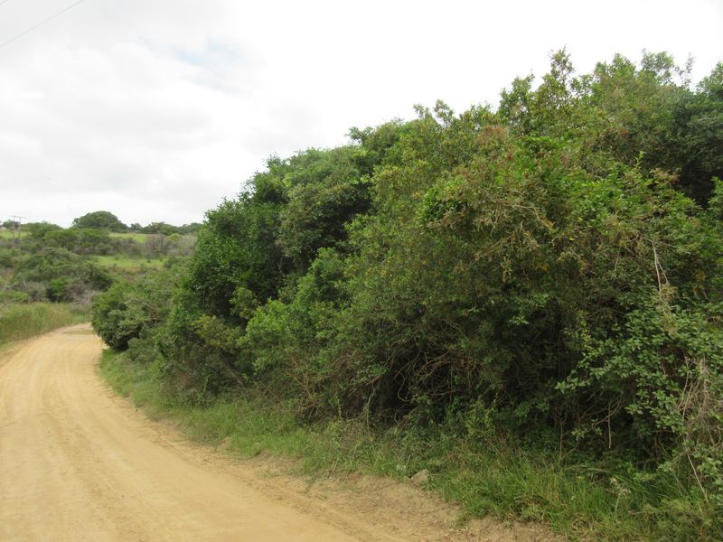 Vacant Stand For sale in Bathurst - Photo 2