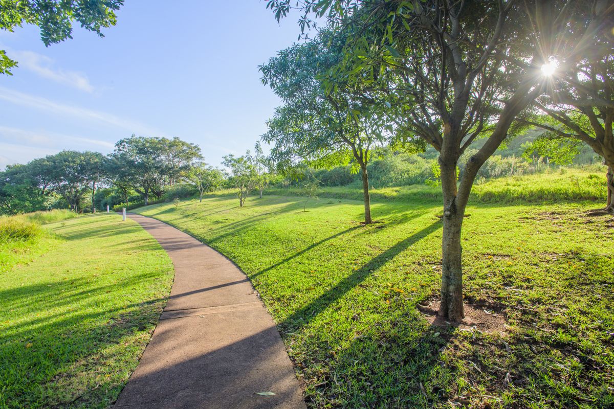 Introducing Emerald Valley!  Limited north facing  Residential Land with Breathtaking Views - Photo 2