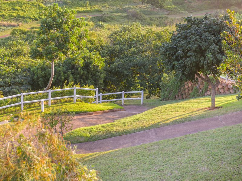 Introducing Emerald Valley!  Limited north facing  Residential Land with Breathtaking Views - Photo 5