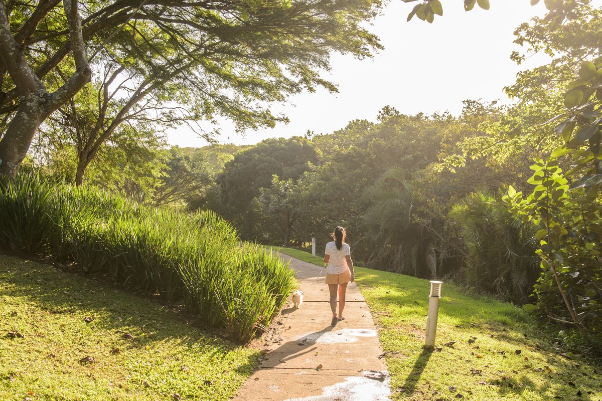 Introducing Emerald Valley!  Limited north facing  Residential Land with Breathtaking Views - Photo 3