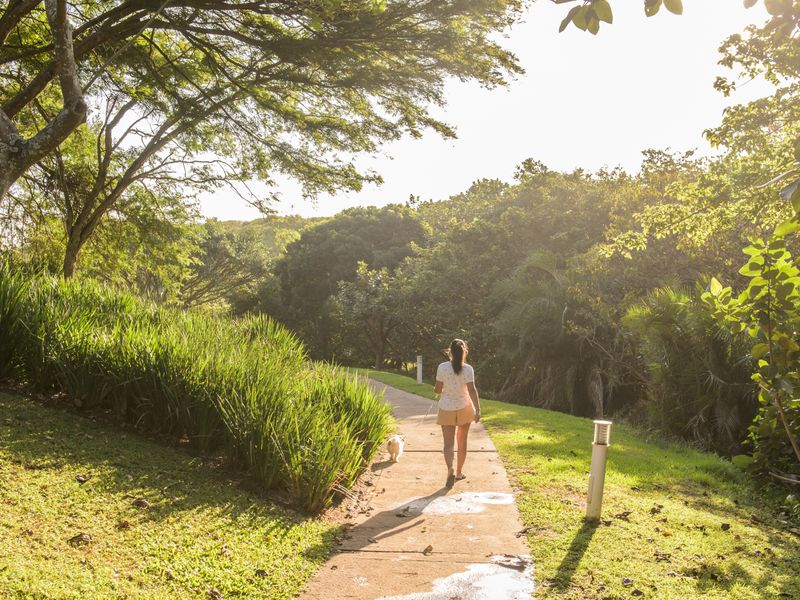 Introducing Emerald Valley!  Limited north facing  Residential Land with Breathtaking Views - Photo 3