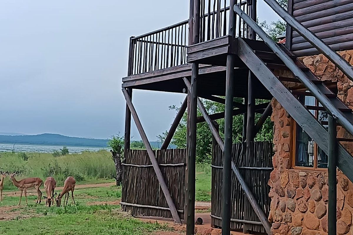 Bushwillow Estate – Vaalkop Dam Nature Reserve Bushveld living at its finest - Photo 2