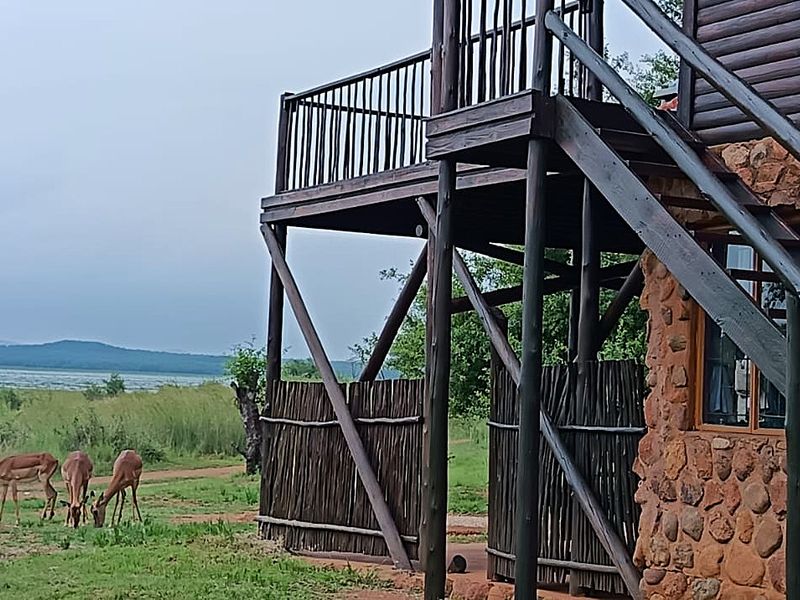 Bushwillow Estate – Vaalkop Dam Nature Reserve Bushveld living at its finest - Photo 2