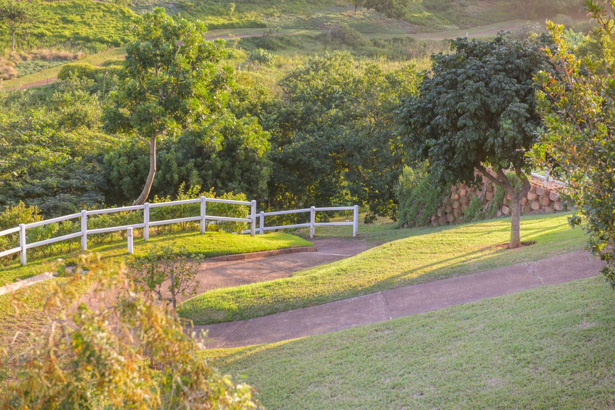 Introducing Emerald Valley! Limited north facing Residential Land with Breathtaking Views - Photo 5