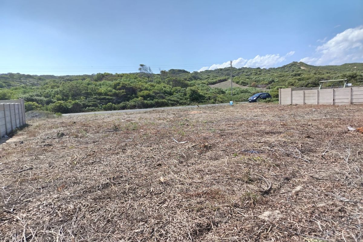Prime 742m2 Vacant Stand in Tranquil Stilbaai East – Walking Distance to the Beach! - Photo 4