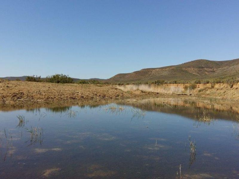 Idyllic and scenic Karoo farms - Photo 9