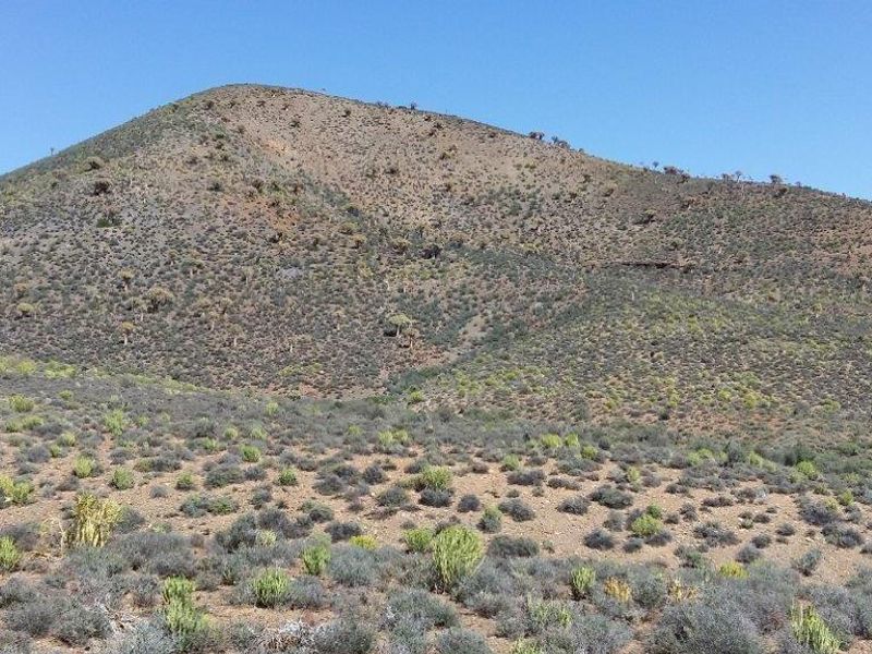 Idyllic and scenic Karoo farms - Photo 8