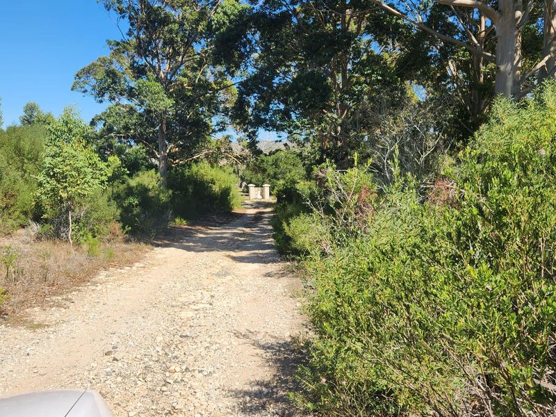 A Tranquil Countryside Escape Near Stilbaai - Photo 5