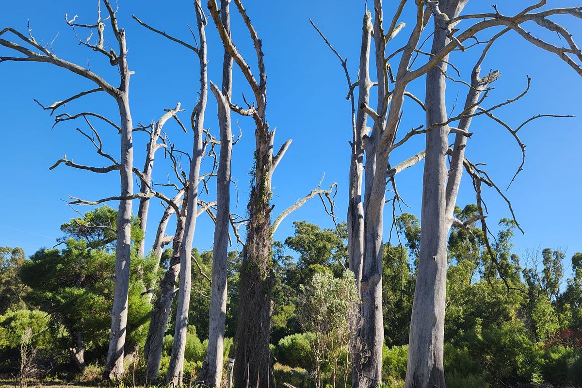 A Tranquil Countryside Escape Near Stilbaai - Photo 3