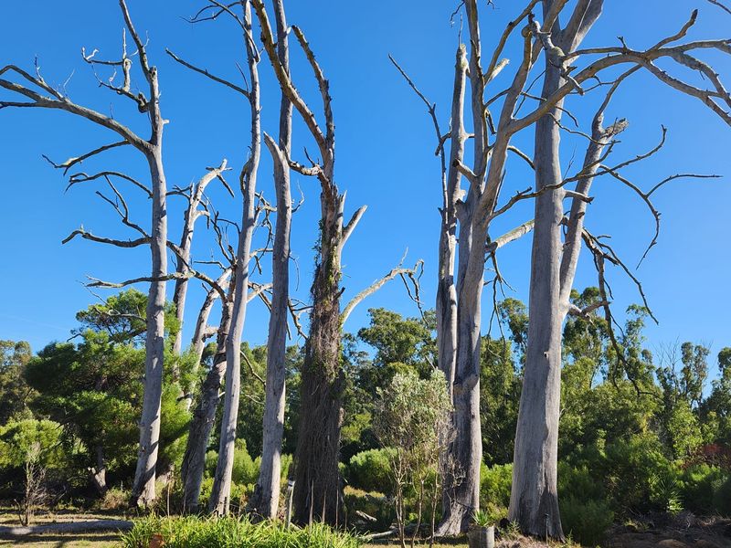 A Tranquil Countryside Escape Near Stilbaai - Photo 3