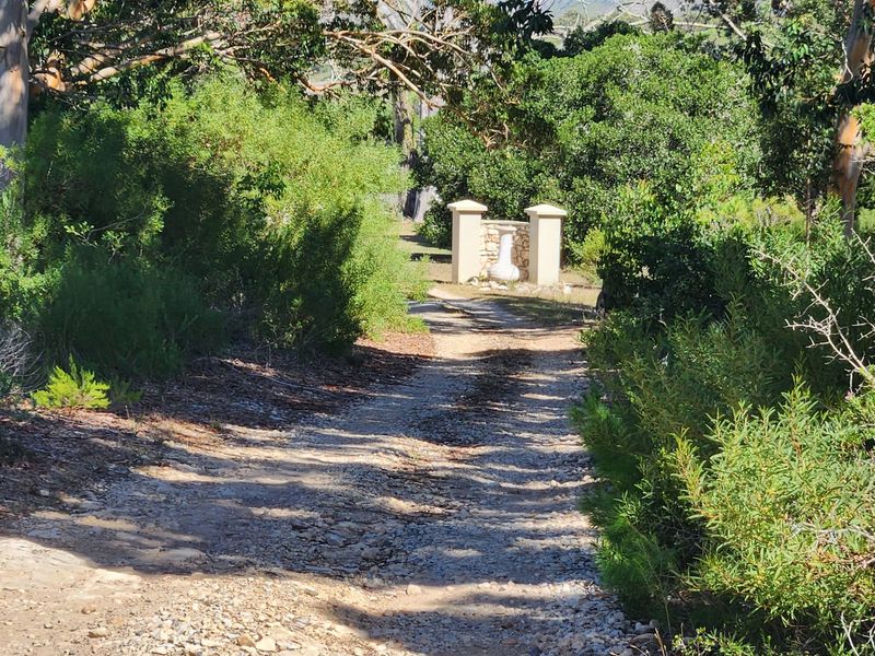 A Tranquil Countryside Escape Near Stilbaai - Photo 6