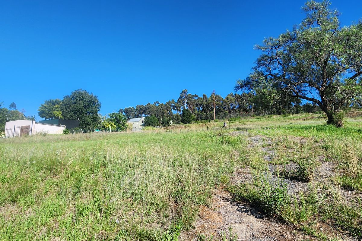 Prime Vacant Land Ready for Development in Swellendam – Endless Potential! - Photo 5