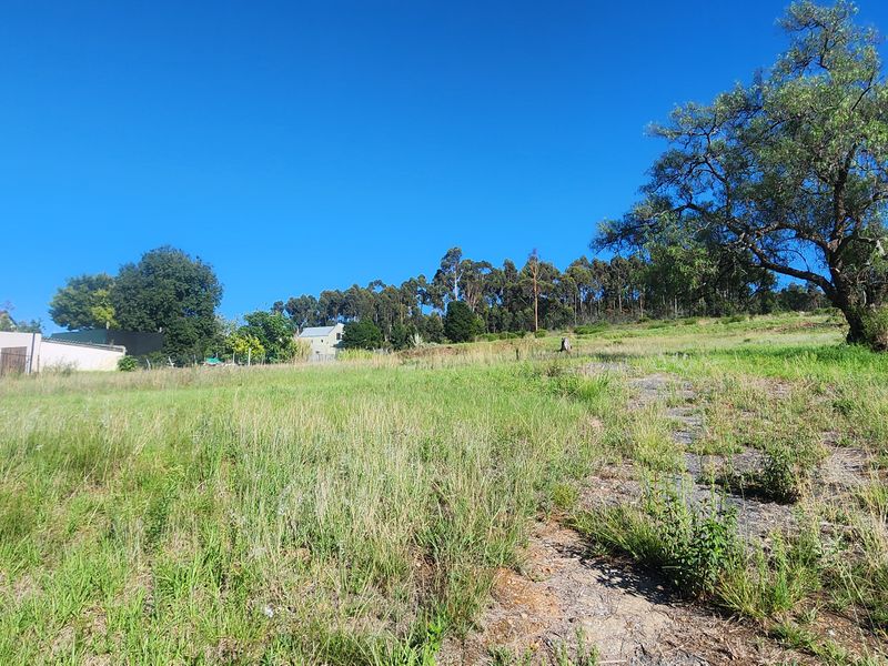 Prime Vacant Land Ready for Development in Swellendam – Endless Potential! - Photo 5