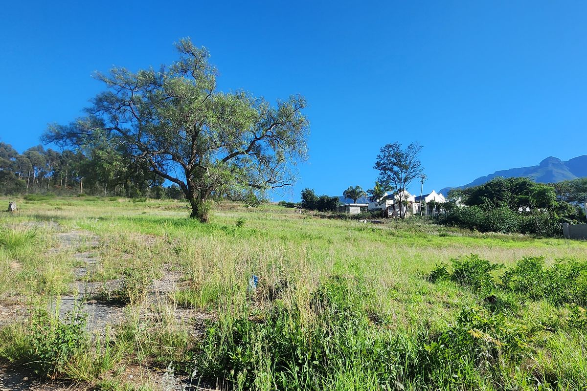 Prime Vacant Land Ready for Development in Swellendam – Endless Potential! - Photo 3