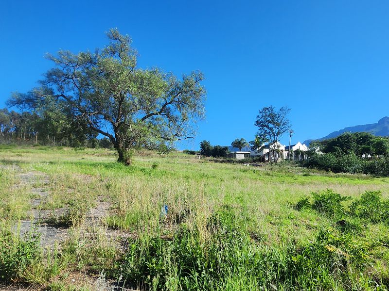 Prime Vacant Land Ready for Development in Swellendam – Endless Potential! - Photo 3