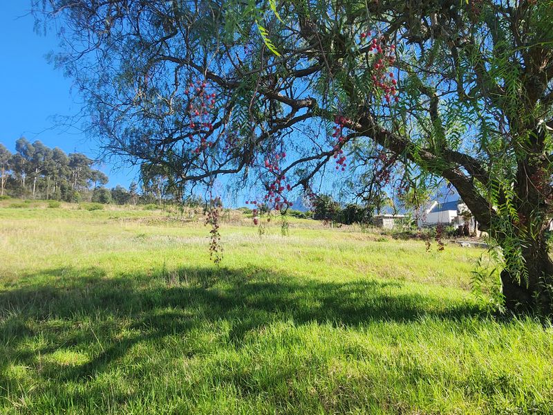 Prime Vacant Land Ready for Development in Swellendam – Endless Potential! - Photo 10