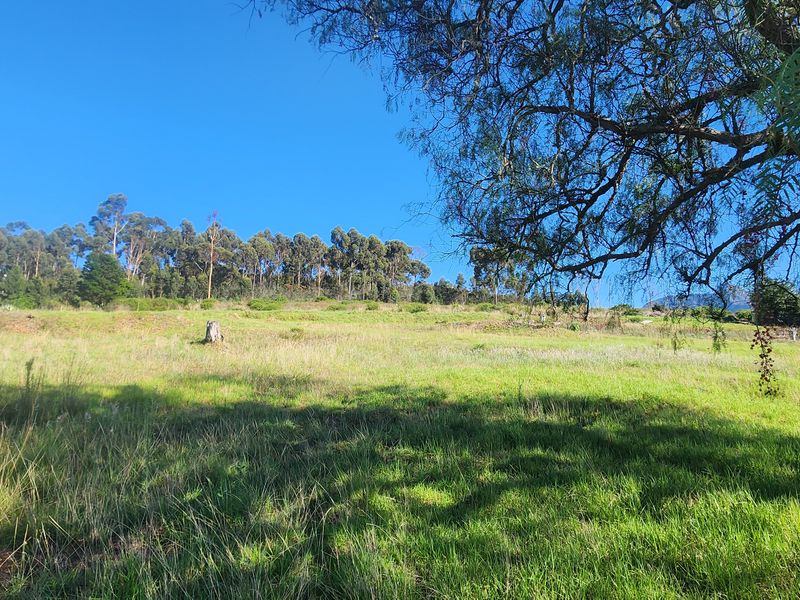 Prime Vacant Land Ready for Development in Swellendam – Endless Potential! - Photo 9