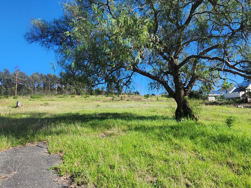 Prime Vacant Land Ready for Development in Swellendam – Endless Potential! - Photo 8