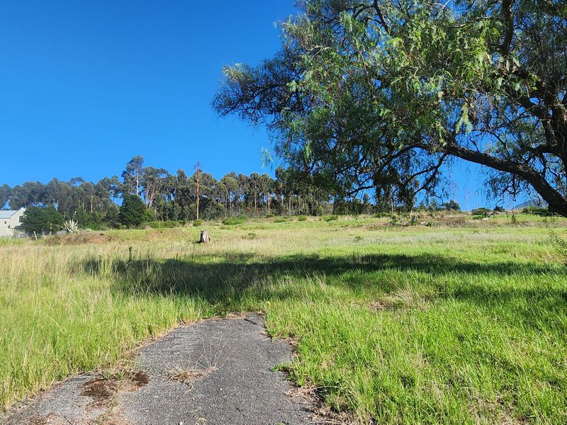 Prime Vacant Land Ready for Development in Swellendam – Endless Potential! - Photo 7