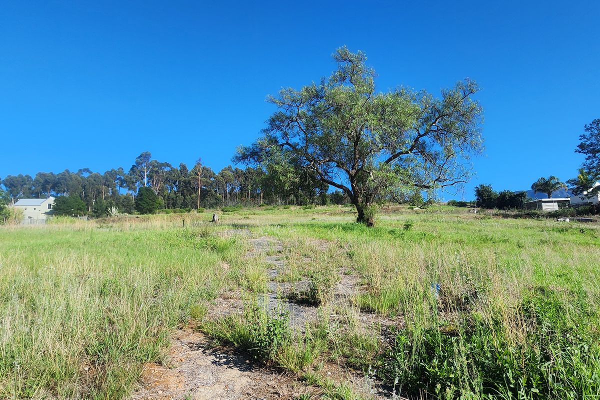 Prime Vacant Land Ready for Development in Swellendam – Endless Potential! - Photo 4