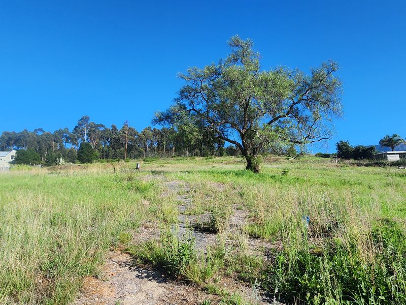 Prime Vacant Land Ready for Development in Swellendam – Endless Potential! - Photo 4