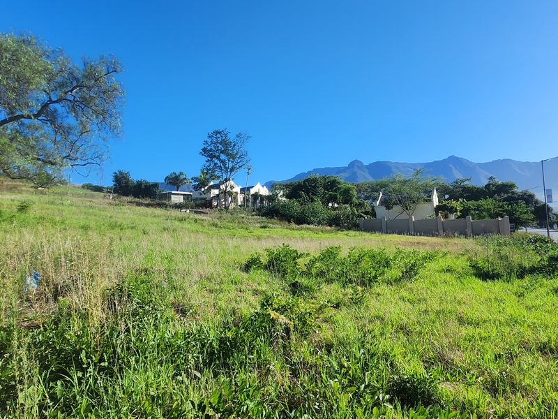 Prime Vacant Land Ready for Development in Swellendam – Endless Potential! - Photo 2