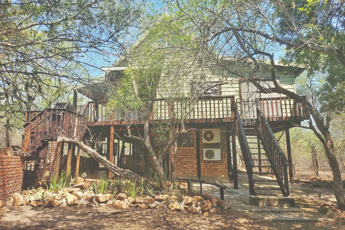 The Bush is alive and beautiful! - Photo 2