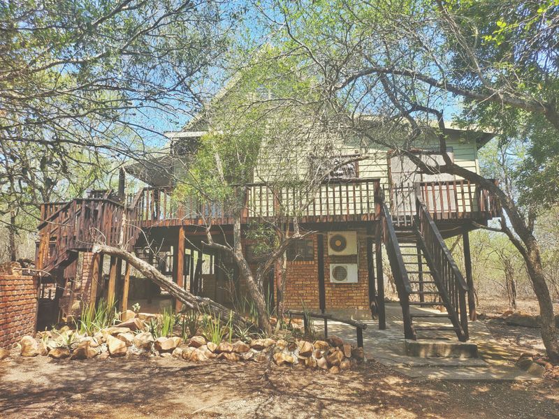 The Bush is alive and beautiful! - Photo 2