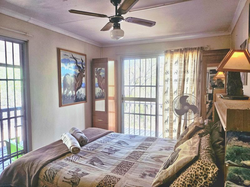 The Bush is alive and beautiful! - Photo 8