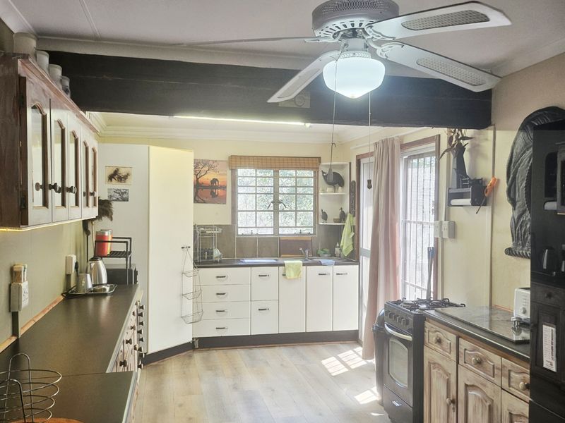 The Bush is alive and beautiful! - Photo 7