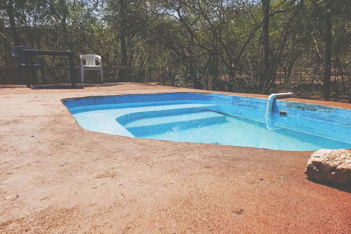 The Bush is alive and beautiful! - Photo 4