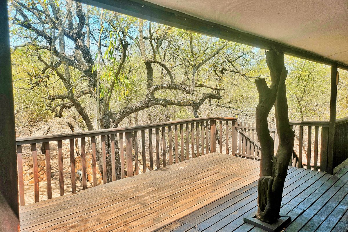 The Bush is alive and beautiful! - Photo 3