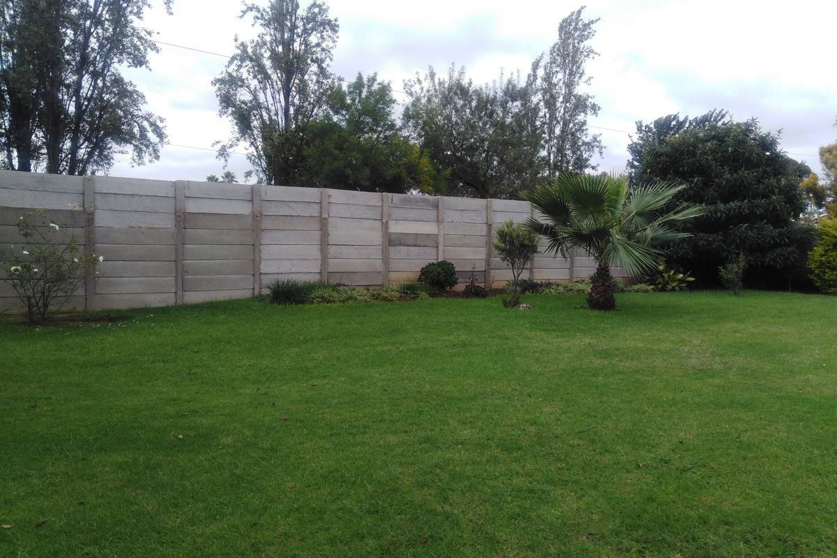 Family Home with big yard - Photo 3