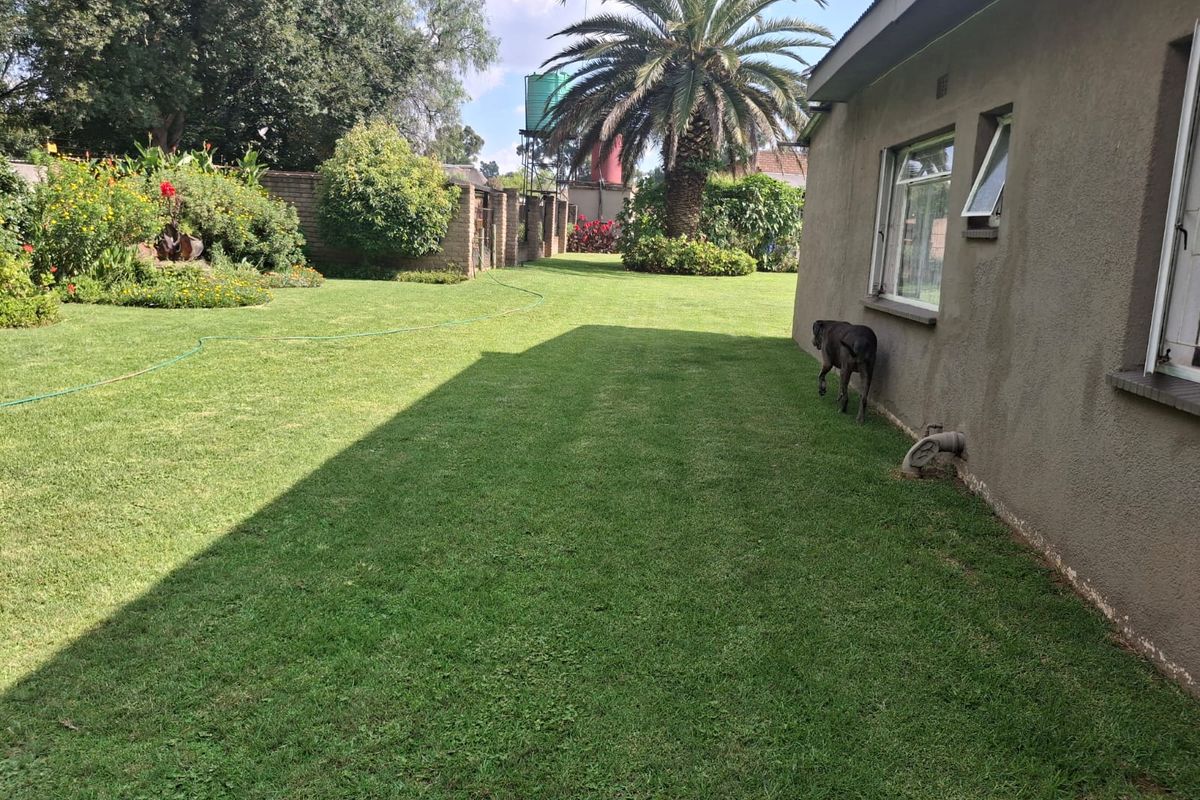 A spacious rear garden area featuring a well-maintained lawn, mature palm tree, and established perimeter landscaping adjacent to the property's rear exterior wall.