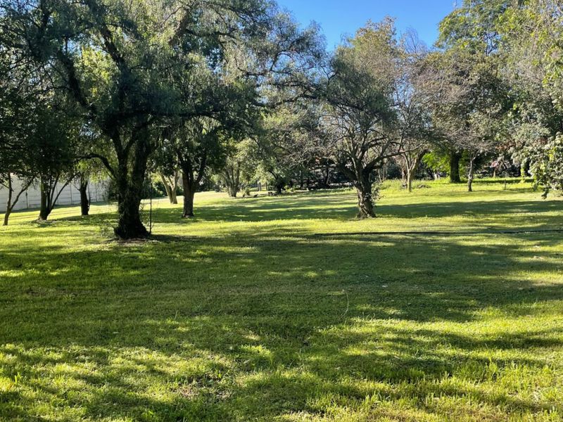 Large plot ready for Development - Photo 6