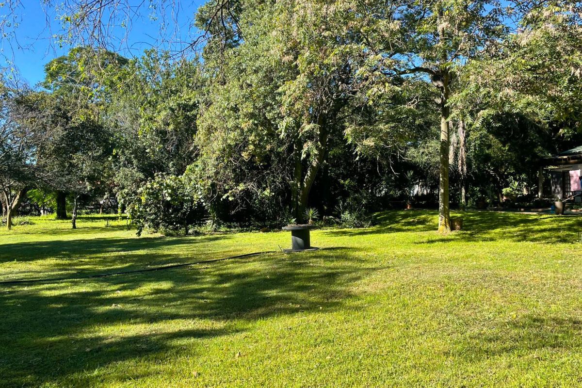 Large plot ready for Development - Photo 3