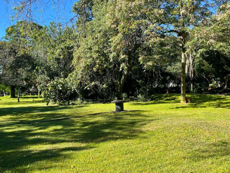 Large plot ready for Development - Photo 3