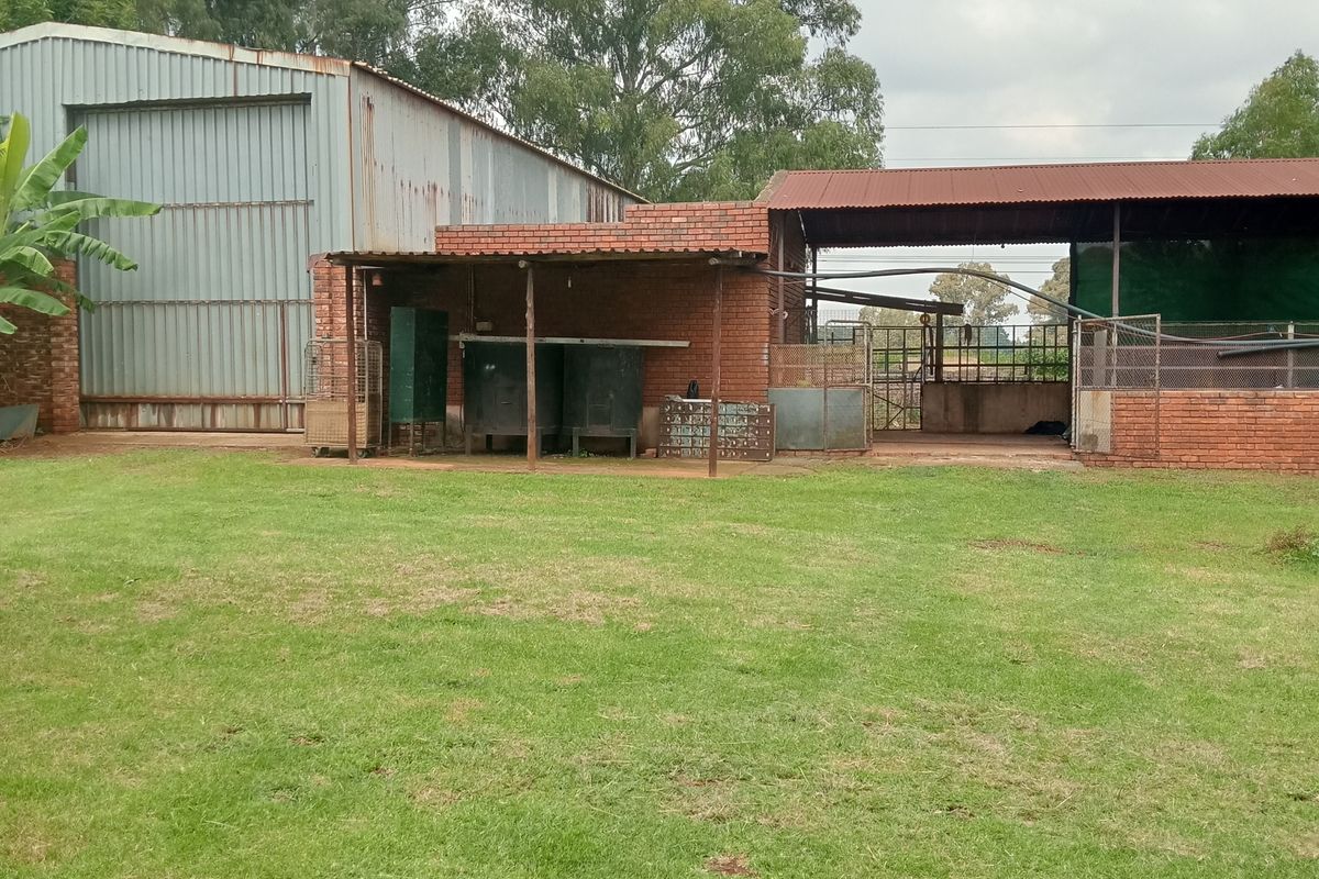 Prime land for sale - Photo 2